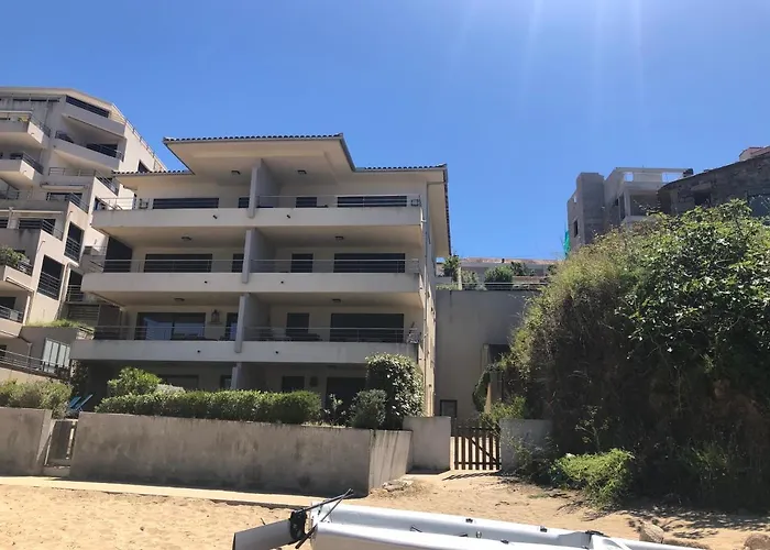 Apartment Les Pieds Dans L'eau 3 - - Corse